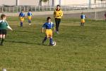 C-Elephants  0021_resize